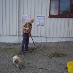 Øystein luker ugress og passer bikkja til Bodil under dugnaden i mai 2015